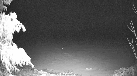 Image from 2025-03-31