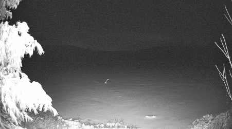 Image from 2025-03-31