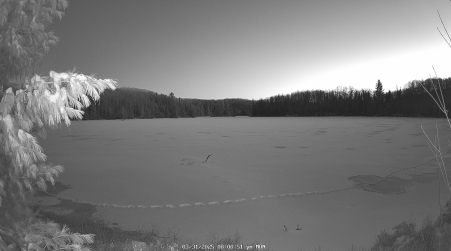 Image from 2025-03-31