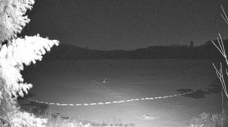 Image from 2025-03-31