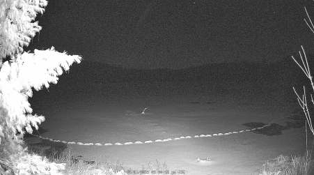 Image from 2025-03-31