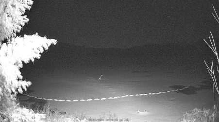 Image from 2025-03-31
