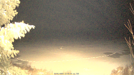 Image from 2025-04-01