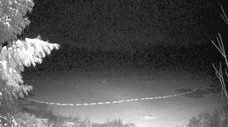 Image from 2025-04-01