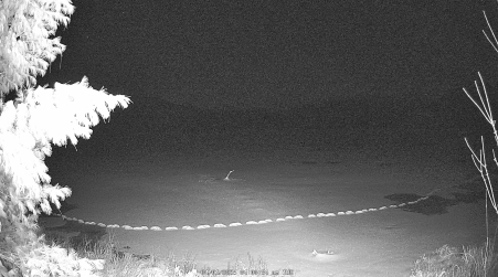 Image from 2025-04-01