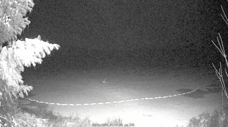 Image from 2025-04-01