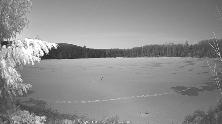 Image from 2025-04-01