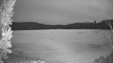 Image from 2025-04-01