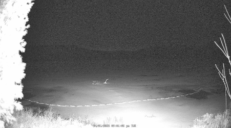Image from 2025-04-01