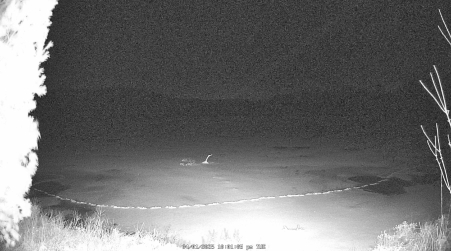 Image from 2025-04-01