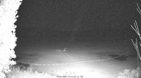 Image from 2025-04-01