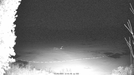 Image from 2025-04-02