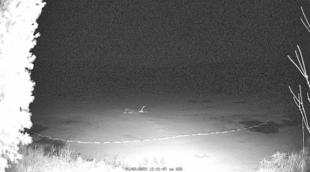 Image from 2025-04-02