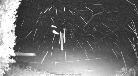 Image from 2025-04-02