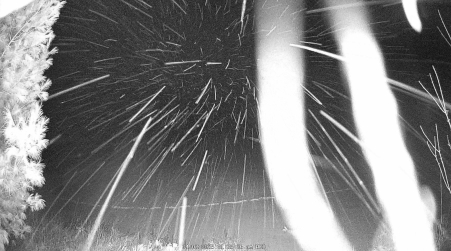 Image from 2025-04-02