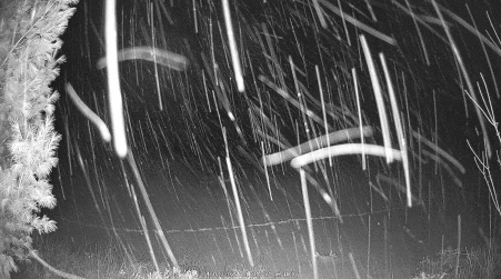 Image from 2025-04-02