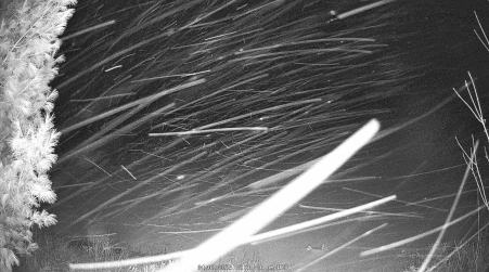 Image from 2025-04-02