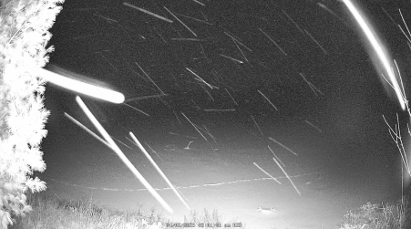 Image from 2025-04-02