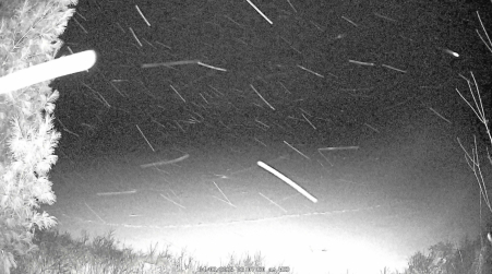 Image from 2025-04-02