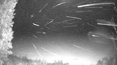 Image from 2025-04-02