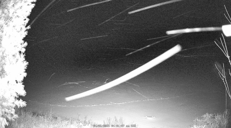 Image from 2025-04-02