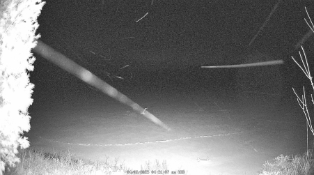Image from 2025-04-02