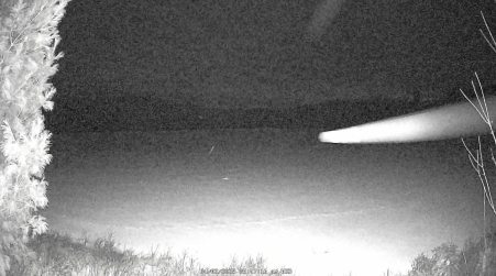 Image from 2025-04-02