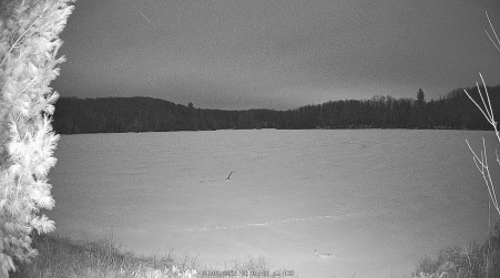 Image from 2025-04-02