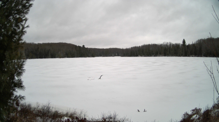 Image from 2025-04-02