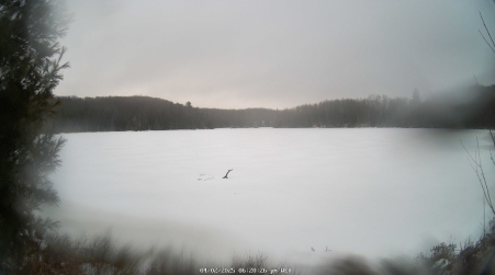 Image from 2025-04-02