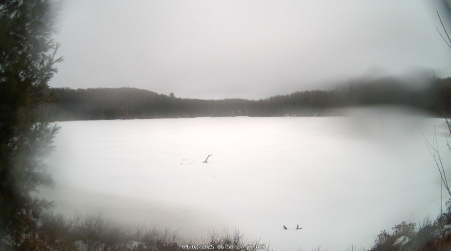 Image from 2025-04-02