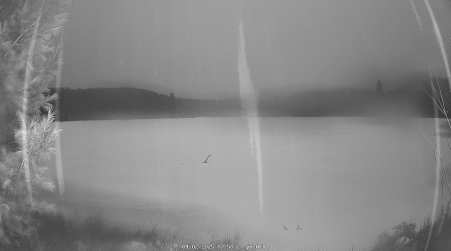 Image from 2025-04-02