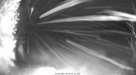 Image from 2025-04-02