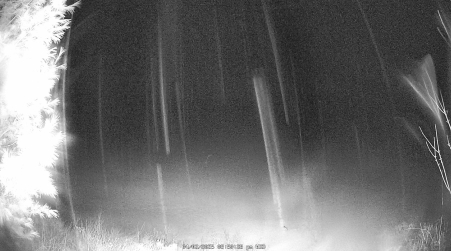 Image from 2025-04-02