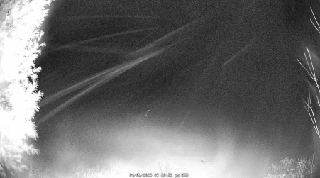Image from 2025-04-02
