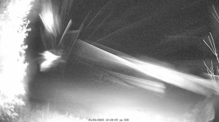 Image from 2025-04-02