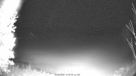 Image from 2025-04-02