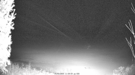 Image from 2025-04-02