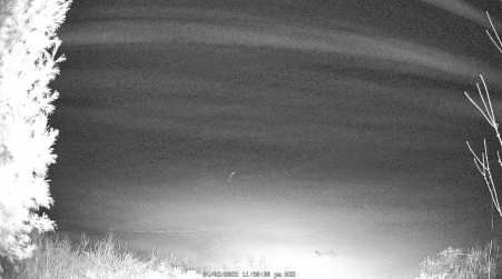 Image from 2025-04-02
