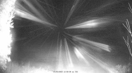 Image from 2025-04-03