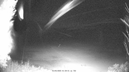Image from 2025-04-03