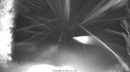 Image from 2025-04-03