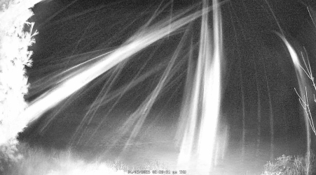 Image from 2025-04-03