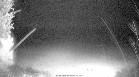 Image from 2025-04-03