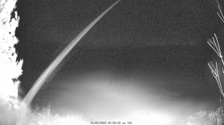Image from 2025-04-03