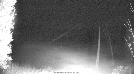 Image from 2025-04-03