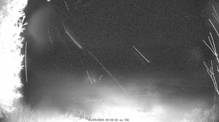 Image from 2025-04-03