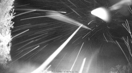 Image from 2025-04-03