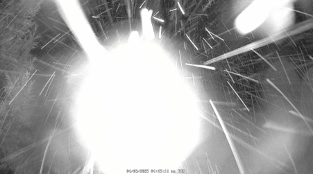 Image from 2025-04-03