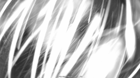 Image from 2025-04-03